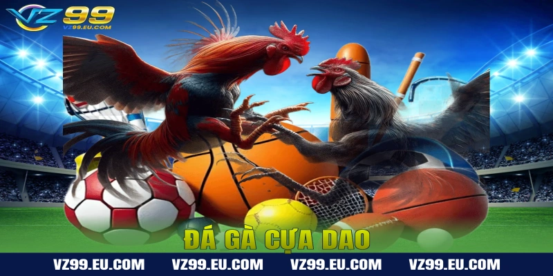 Đá Gà Cựa Dao – Luật Chơi Và Kinh Nghiệm Thắng Lớn