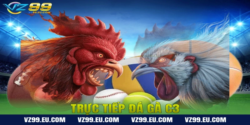 Trực Tiếp Đá Gà C3 – Xem Live Mỗi Ngày
