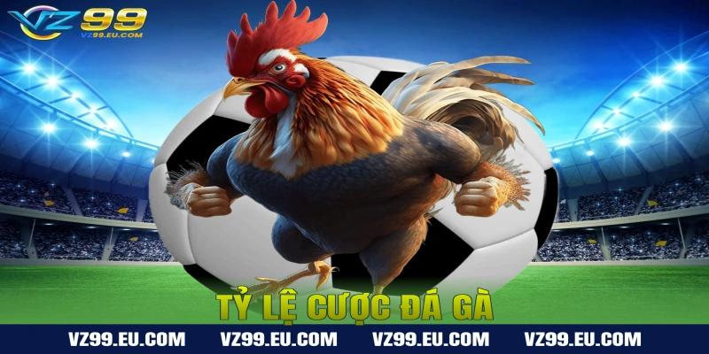 Tỷ Lệ Cược Đá Gà – Cách Tính Kèo Và Đặt Cược Chuẩn
