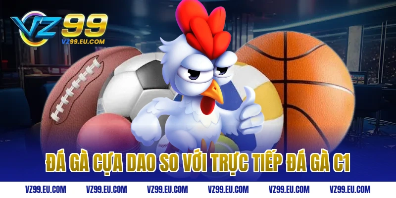 Đá gà cựa dao so với trực tiếp đá gà C1