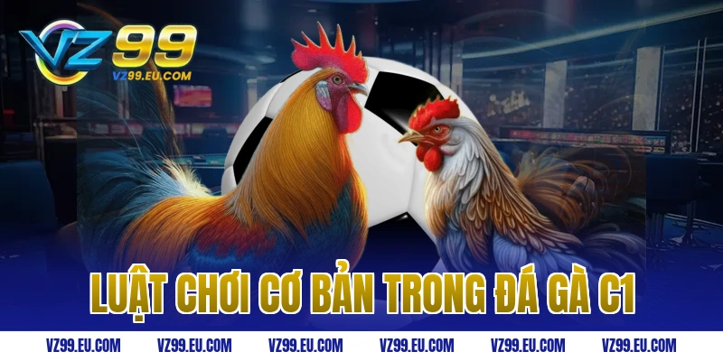 Luật chơi cơ bản trong đá gà C1