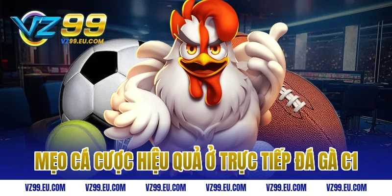 Mẹo cá cược hiệu quả ở trực tiếp đá gà C1